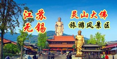免费视频在线观看大吊江苏无锡灵山大佛旅游风景区