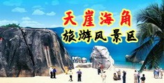 黄色网站日逼特级大片大鸡巴海南三亚-天崖海角旅游风景区