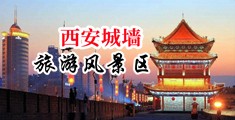 缴射逼258中国陕西-西安城墙旅游风景区