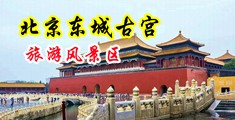 黑大猛狂操中国北京-东城古宫旅游风景区